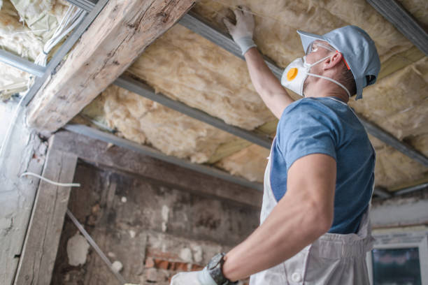 Best Geographic-Specific Insulation Services in Wichita Falls, TX